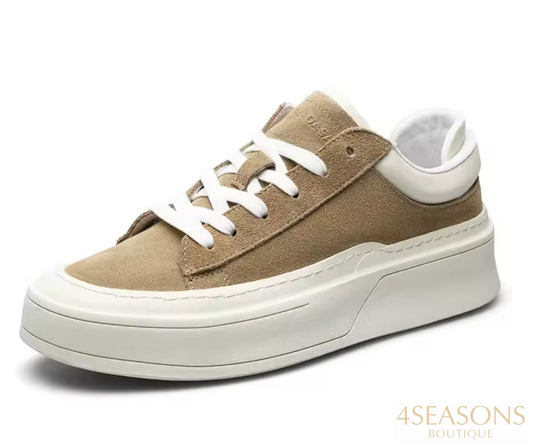 Sneaker Taylor